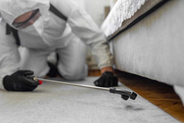 Professional Bed Bug Control technician working in Hyattsville, MD