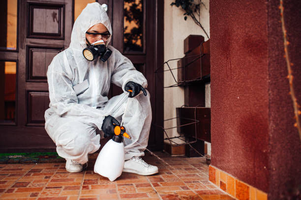 Reliable Bed Bug Control contractor in Hyattsville, MD by Nex Pest Control