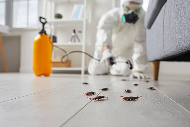 Trusted Mosquito Control service in Hyattsville, MD - Nex Pest Control